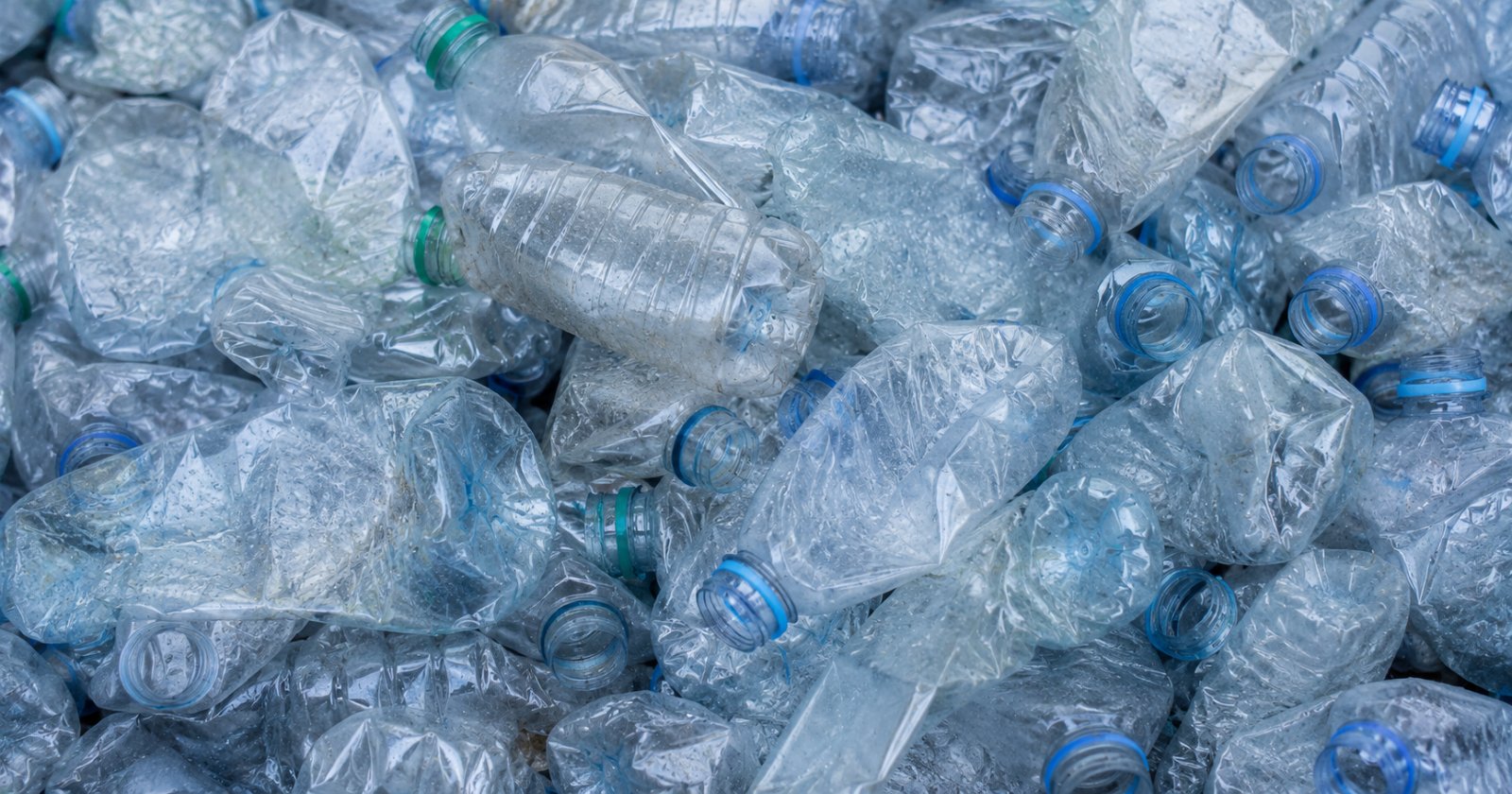 Botellas de plástico vacías acumuladas en un punto de acopio de reciclaje